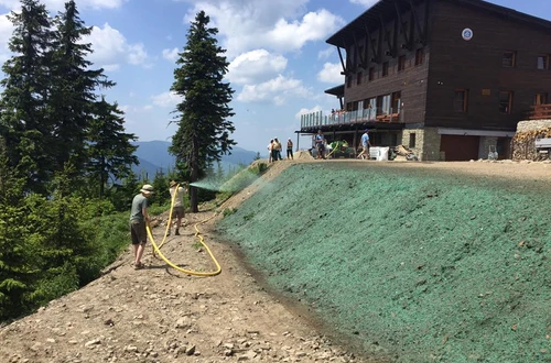 Výsadba a údržba veřejné zeleně